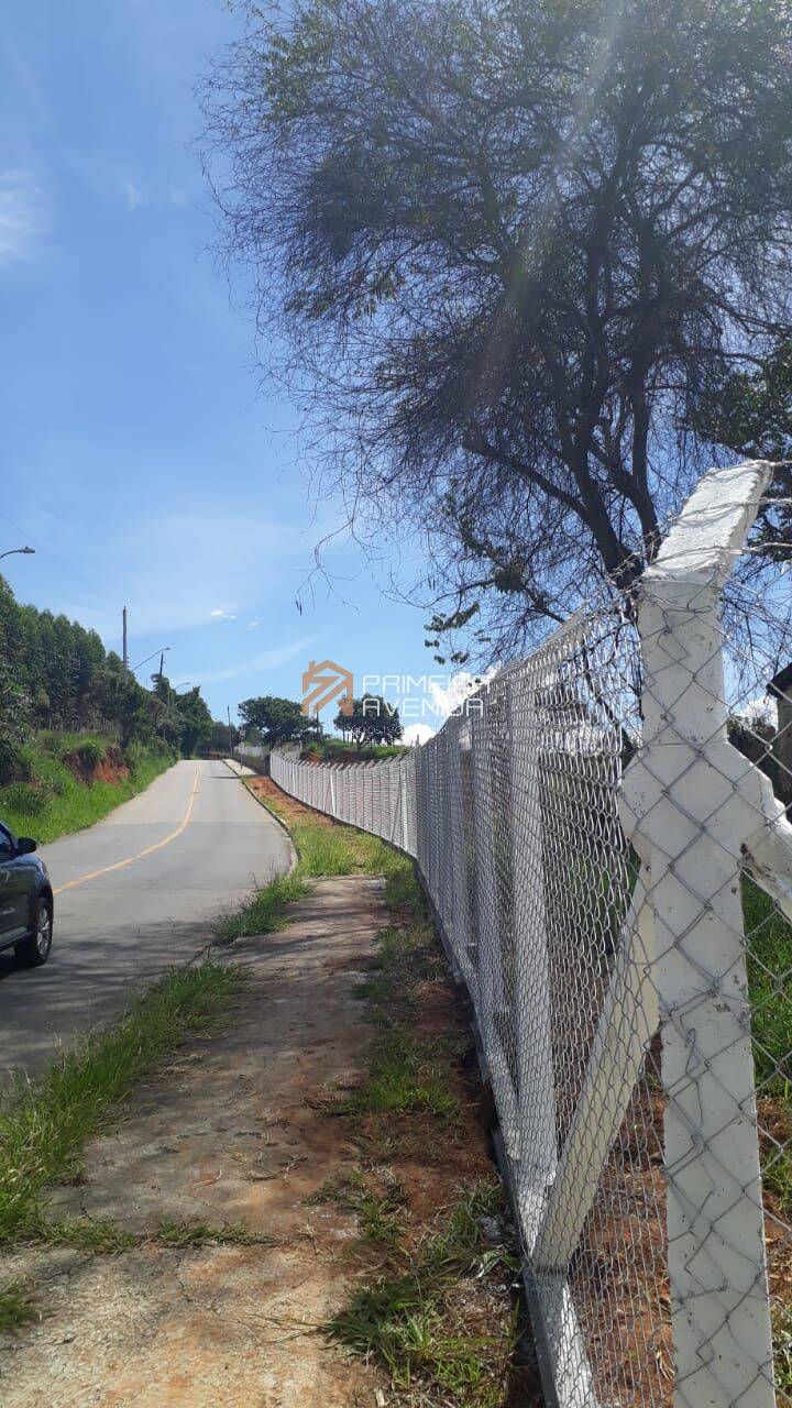 Fazenda à venda com 6 quartos, 400m² - Foto 1